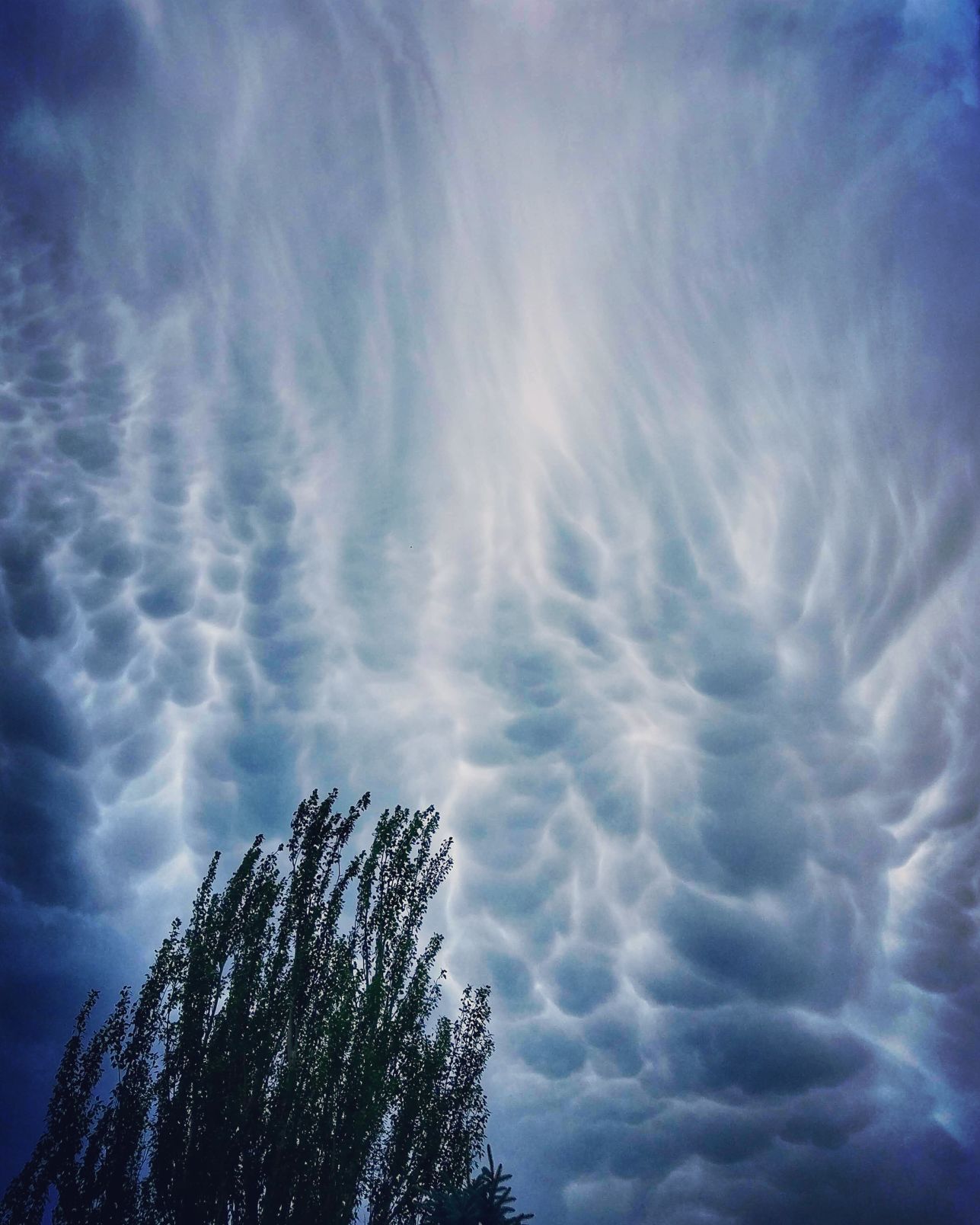 Nature’s Canvas